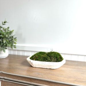 Table Decoration Moss Dough Bowl